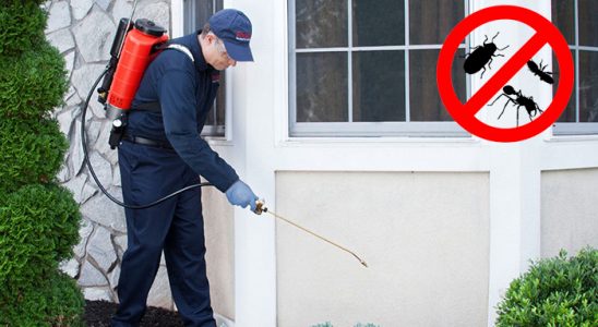 Sultanhisar Dezenfeksiyon böcek ilaçlama ve haşere kontrolü — ilaclama-tr.com